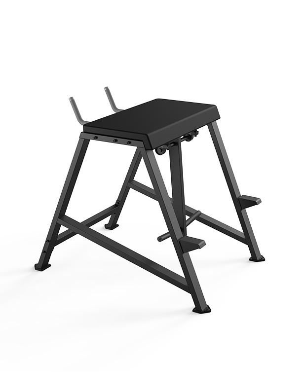 Reverse Hyper Extension